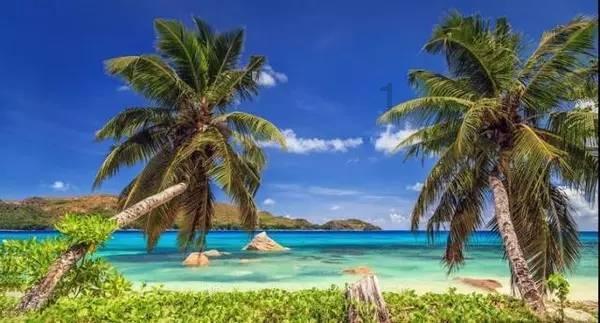 夏日课堂