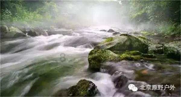 狗剩快跑：出场就把观众看呆，这才是国产剧“情妇”该有的颜值